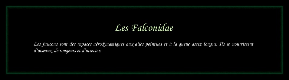 [Logo Falconidae]