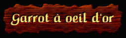 [Garrot à oeil d'or]