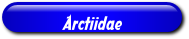 [Arctiidae]
