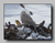 [Parcours Ornithologique]
